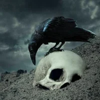 Foto del avatar de MaybeAlittleBitCrazy