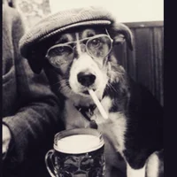 himroxx's Profile Pic