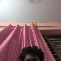 smalldickman69