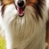 Papagus22's Avatar Pic