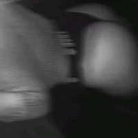 Joa1221s profilbillede