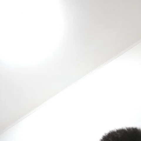 levergonk profile photo
