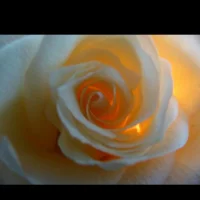 Lepetitcanard69's Avatar Pic