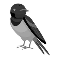 Imagem de avatar de aljcm6