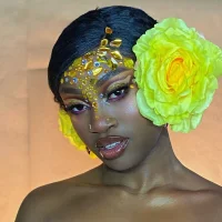 nikkystorm1_のアバター写真