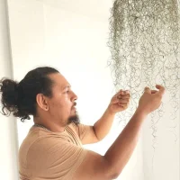 Darsiing's Profile Pic