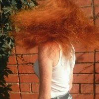 AlisaFoxics profilbillede