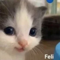 Izayy Immagine Avatar