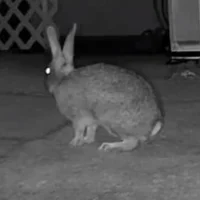 Robert_420_lover 头像图片