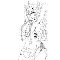 kapeerer 头像图片