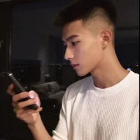 LEX99233 webcam