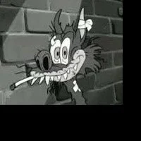 TommyDCat Avatarbild