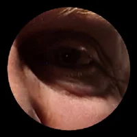 tersha1's Profile Pic