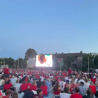 Avatar obrázek El-Vikingo