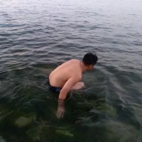 chenlinlin520's Profile Pic