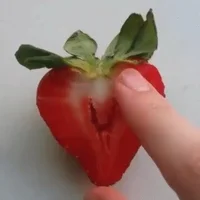 TrillXxx96's Profile Pic