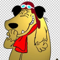 صورة أفاتار Bald69