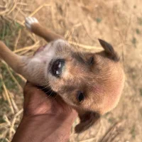 mohit798586's Profile Pic