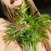 LillyGray's Avatar Pic