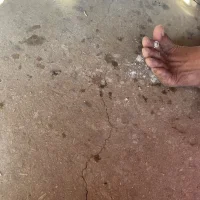 desiladys – avatarbillede