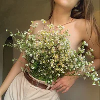 รูปโปรไฟล์ของ mary_mooore