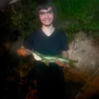 Maxwell5532's Profile Pic