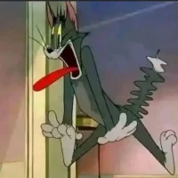 hhhhhpllu webcam model