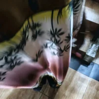 ebonylux webcam