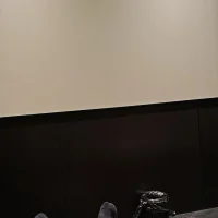 zycairyws profilbillede