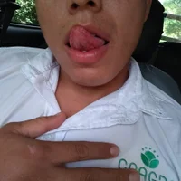 Pisonvergudo