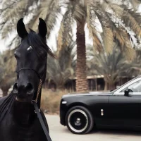 Avatar obrázek daxun-001