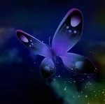 xandylee's Avatar Photo