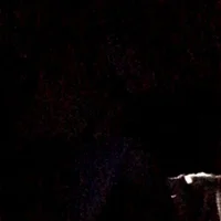 malvadinho0011n Profiilikuva