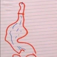 Ảnh Đại Diện TELENGARD