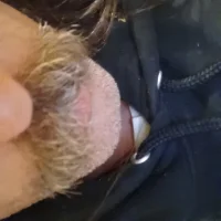 knotabot's Profile Pic