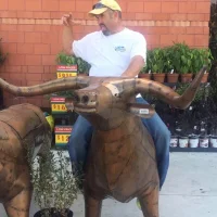 Аватар rockink69