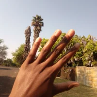 Sphesihlwのプロフィール写真