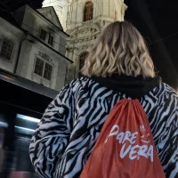 LadyFontaine Avatarbild