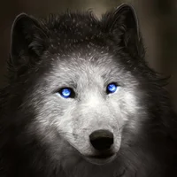 wulfen-72 Avatarbild