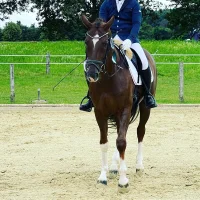 equestrian_twinkle's Avatar Photo