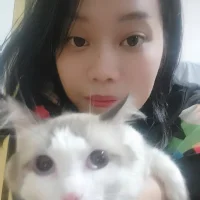 Amei-8 的個人資料圖片