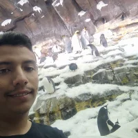 luisfct's Profile Pic