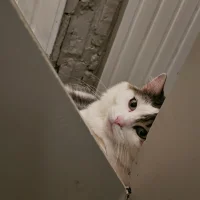 Аватар Milo2454