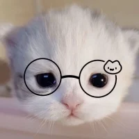 Foto do avatar de HuaHuababy