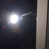 palsfd