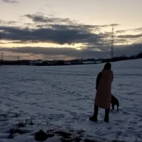 bujikasis profilbillede