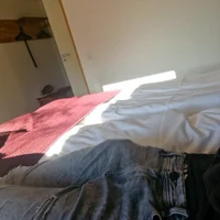 hotnycarloss1 avatarbilde