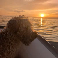 Gambar Avatar sailor_92