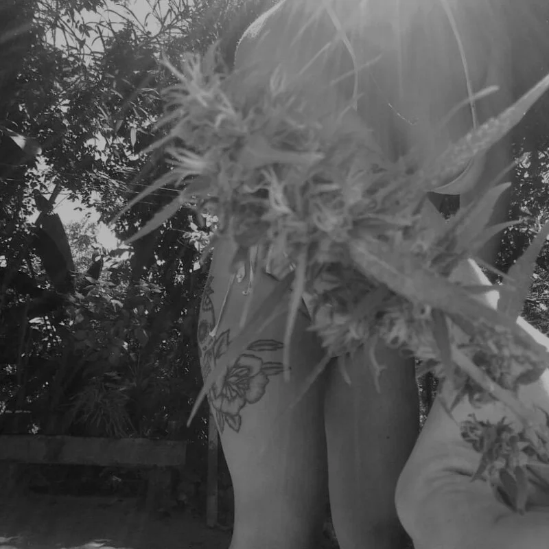 Maconheiraxx Stripchat profile image
