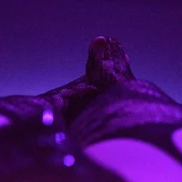 LenaCherry's Profile Pic